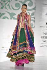 Model walk the ramp for Nisha Sagar for Aamby Valley India Bridal Week 30th Oct 2010 (27).JPG